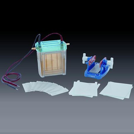 �p��ֱ�Ӿ�x(��)(��̖(h��o))DYCZ-24EN