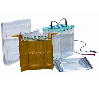 DYCZ-26Cһ�wʽ�p���Ӿ�x