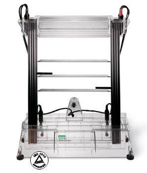 ����(l��)Sequi-Gen GT�y(c��)���Ӿ��