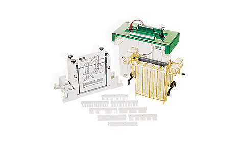 ����PROTEAN&reg; II xi��XL��ֱ�Ӿ��