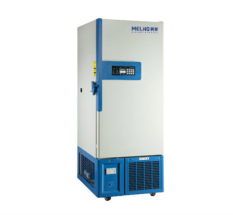 ���͜�����惦��DW-GL388