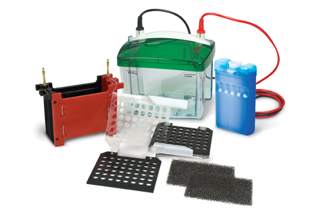 С�� Mini Trans-Blot&reg; �Dӡ��