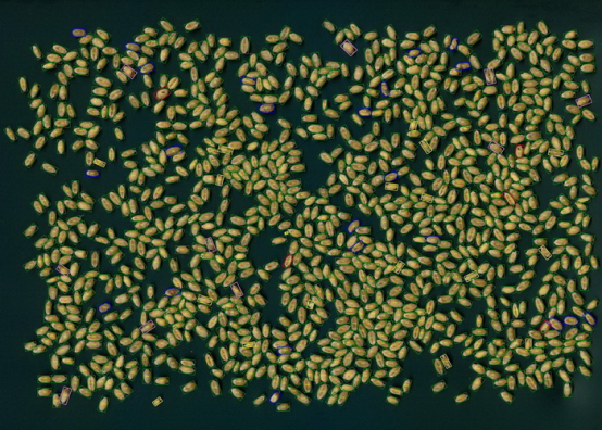 С�����^Ʒ�|(zh��)������������Ǚz�y�xSC-X��